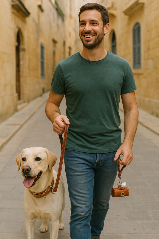 Dog collar